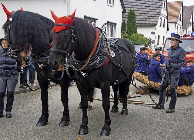 Die weiteste Anreise hatten die Pferde zurckgelegt.     | Foto: Ilona Huege