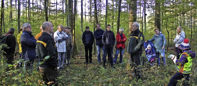Neben Gemeinderten waren erstmals auc...e Brger zur Waldbegehung eingeladen.   | Foto: Adelbert Mutz