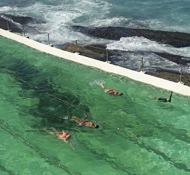 Meistens Hai-frei und mit Meerblick: Ocean Pool in Australien  | Foto: Christoph Sator (dpa)