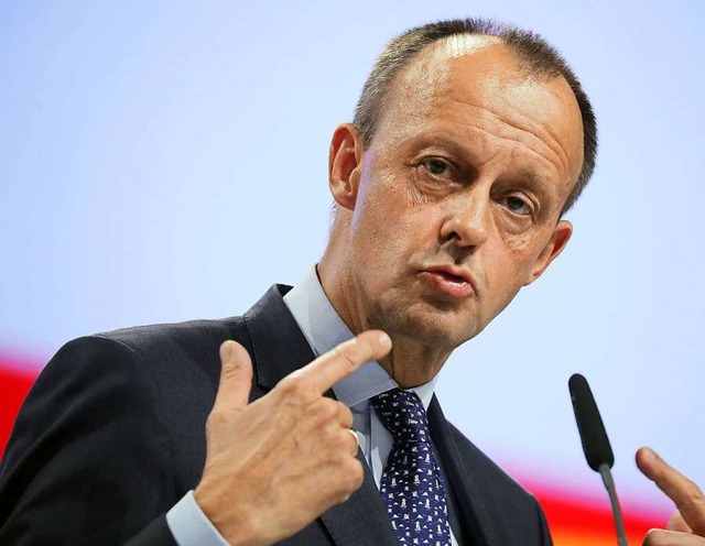 Friedrich Merz  | Foto: Kay Nietfeld