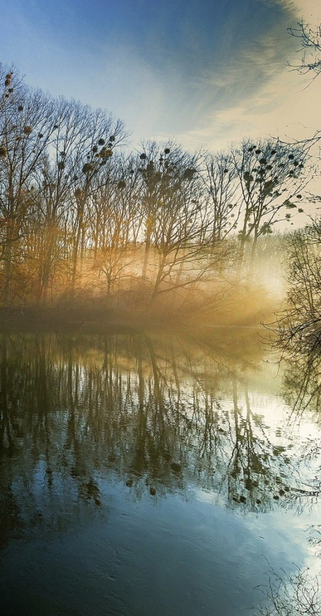 Magie des  Nebels: unterwegs  in den Rheinauen  | Foto: christine - stock.adobe.com