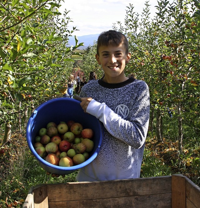 Neben der Theorie sollte die Praxis nicht zu kurz kommen  | Foto: Christiane Franz