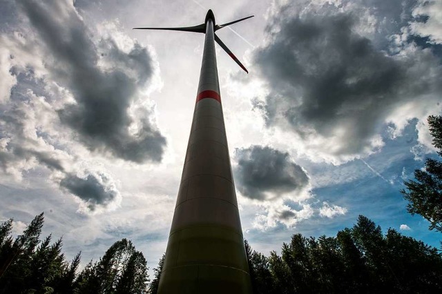 Die Gemarkung Schollach knnte der Standort fr einen Windpark werden.   | Foto: Armin Weigel