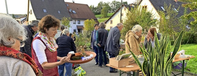 Samen, Pflanzen und  berwinterungstip...s. <BZ-Foto>Hans-Jrgen Hege</BZ-Foto> 