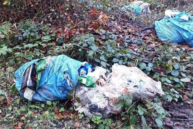 Immer wieder wird in Rheinfelden sackweise Müll im Wald abgeladen