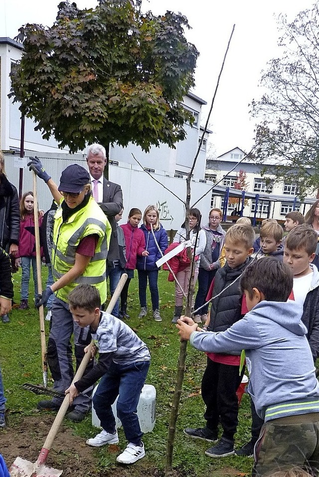 Die Schler pflanzten einen Apfelbaum.  | Foto: Christine Weirich