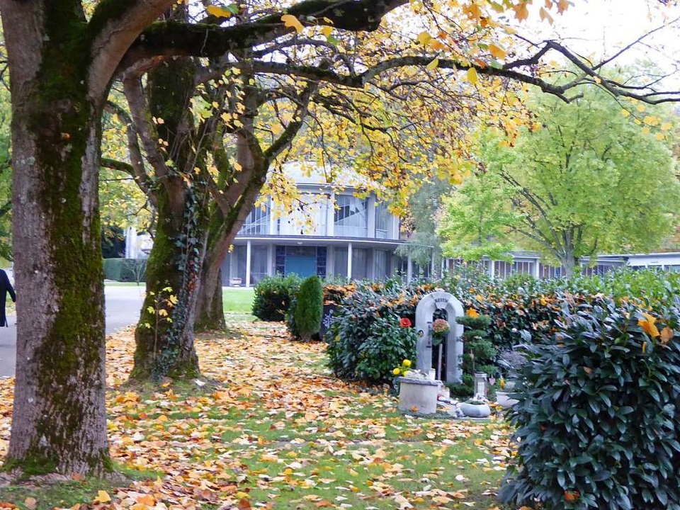 Herbst auf dem  Hauptfriedhof  | Foto: Sabine Ehrentreich