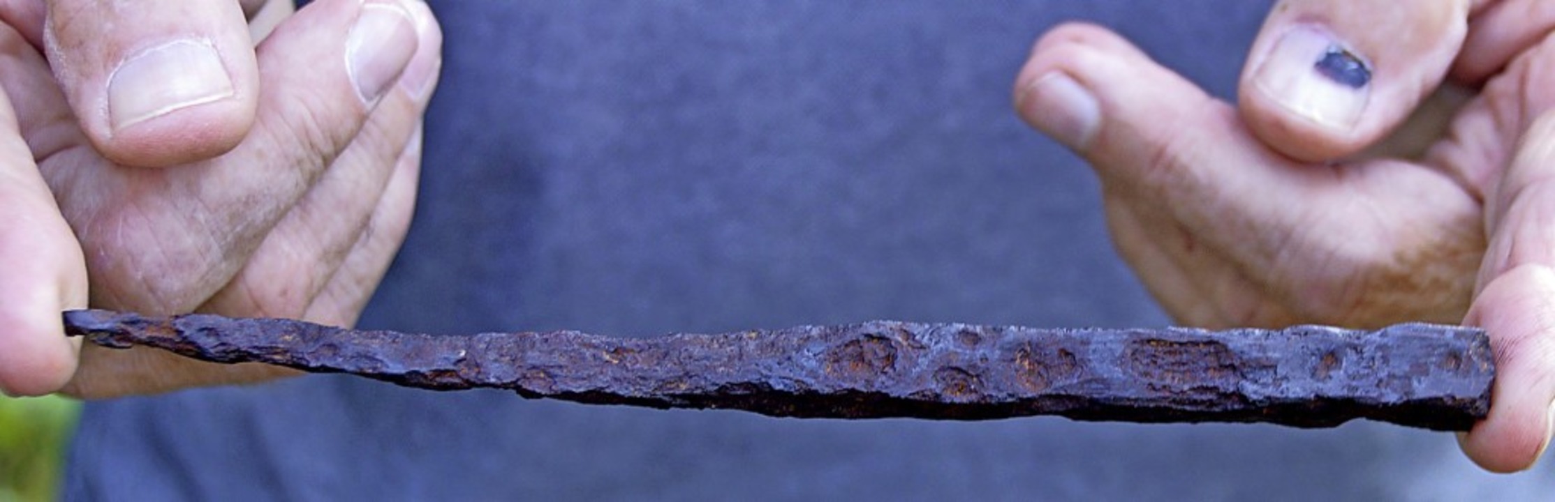 Dieser 22 Zentimeter lange Eisennagel wurde 1982 im Heidengraben gefunden.  | Foto: Gerhard Lück