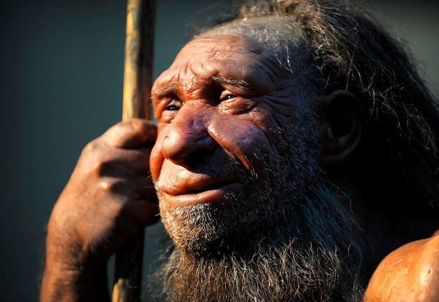 lterer Neandertaler: Diese Nachbildun...ener Verwandter des modernen Menschen.  | Foto: Federico Gambarini
