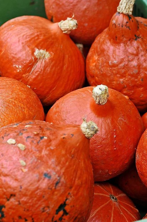 Im Herbst dominieren Krbisse auf dem Freiburger Mnstermarkt.  | Foto: Ingo Schneider
