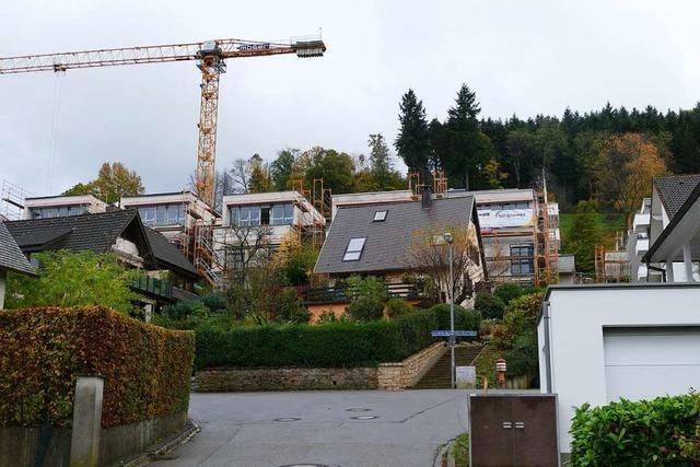 50 Prozent Preisanstieg bei Bodenpreisen in Waldkirch seit 2010