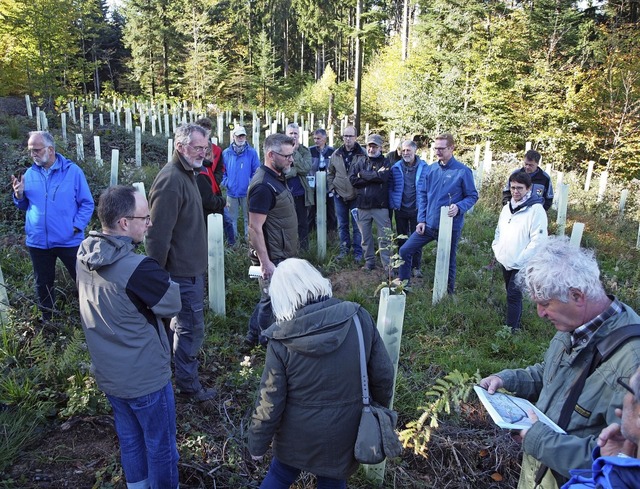 Waldbegehung am Samstag in Herbolzheim... Ort, womit wieder aufgeforstet wird.   | Foto: Michael Haberer