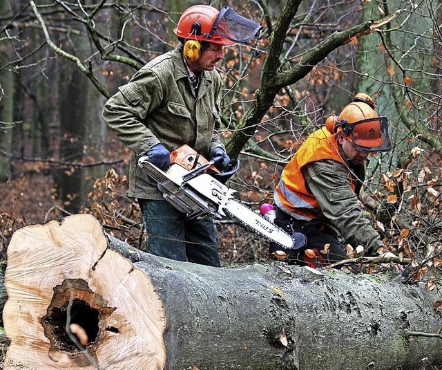 Der Holzeinschlag rechnet sich.  | Foto: Bernd Wstneck