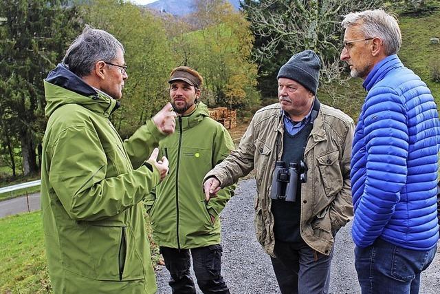 Die Landwirtschaft am Belchen ist anders