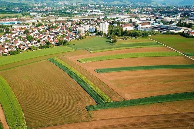 Offenburgs Oberbrgermeister ermuntert zum Verkauf von Grundstcken