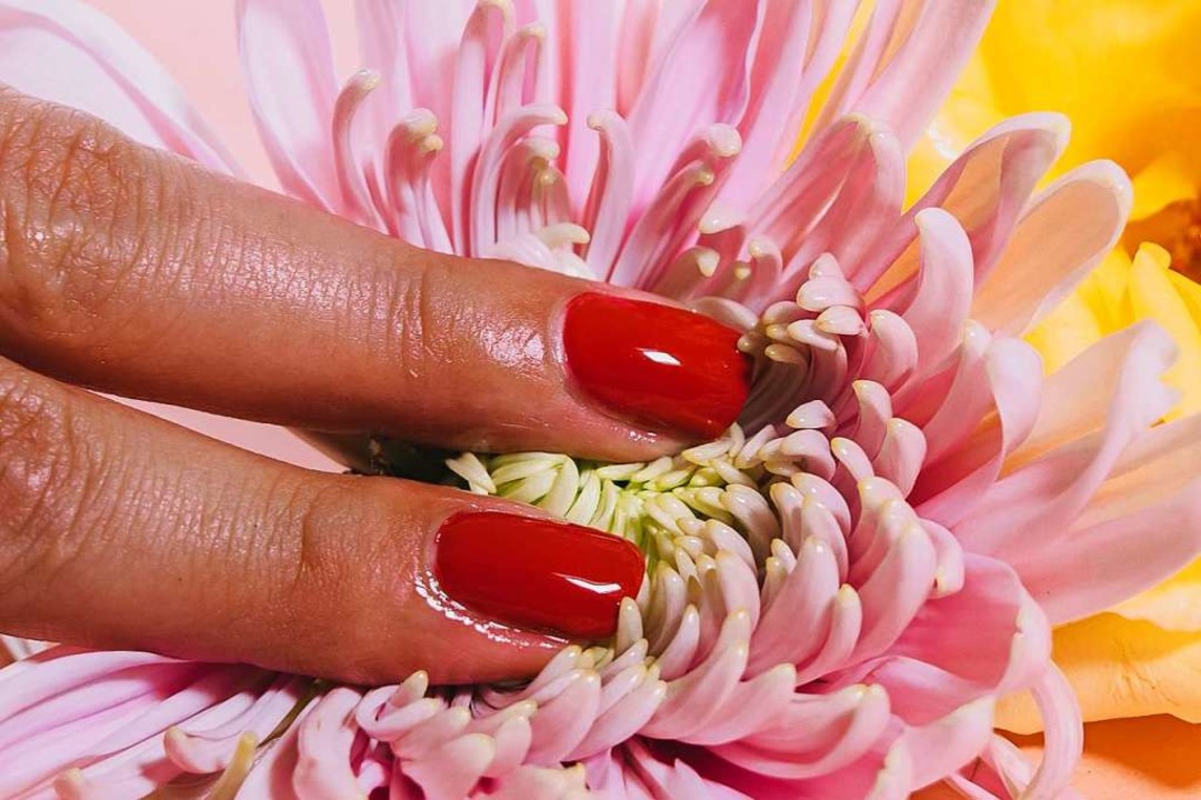 Feminismus und Pornographie &#8211; geht das?  | Foto: Malvestida Magazine