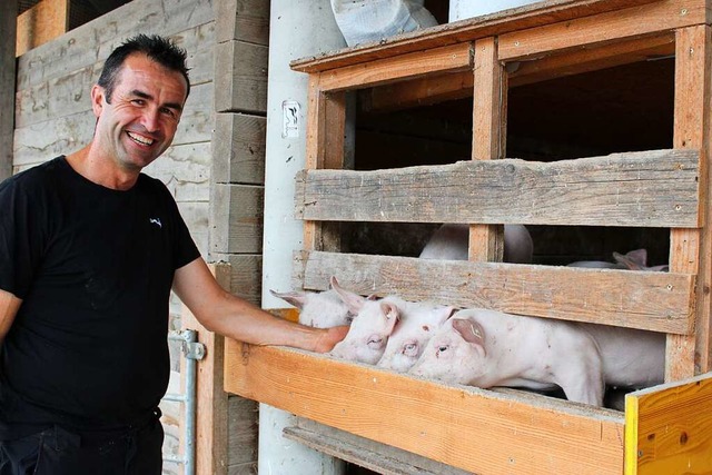 160 Schweine leben bei Bernd Hug auf dem Hof.  | Foto: Annika Sindlinger