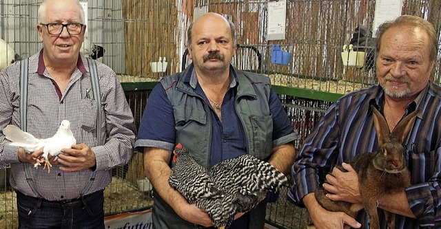 Helmut Schandelmeyer, Thomas Horch und... die Vereinsmeisterschaft (von links)   | Foto: Werner Schnabl