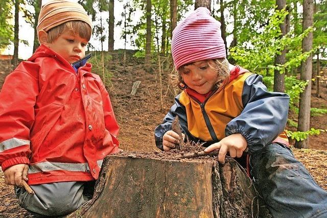 Waldkindergarten soll Maulburg helfen