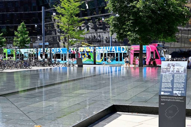 Bisher erlutern  Tafeln  am Erinnerungsbrunnen die Geschichte  des Ortes.  | Foto: Thomas Kunz