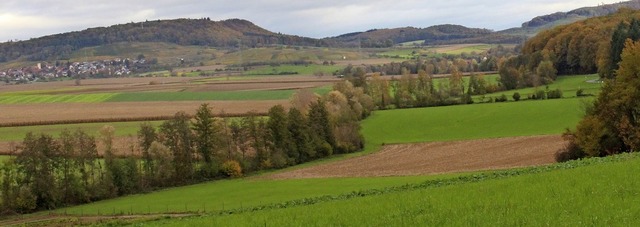 Der Saum von Bumen zeigt den Lauf des...ngen-Kirchen noch keinen Uferstreifen.  | Foto: Victoria Langelott