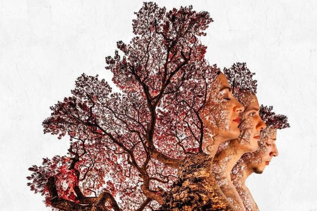 Das junge Freiburger Trio bringt ihr erstes Album &#8222;The Promise&#8220; raus  | Foto: Heirs to the Wild
