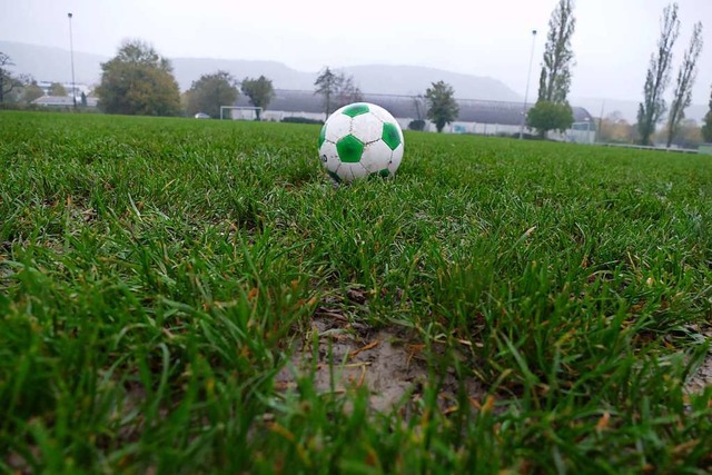 Die Sportanlage der SG Grenzach-Wyhlen ist dringend sanierungsbedrftig.  | Foto: Verena Pichler