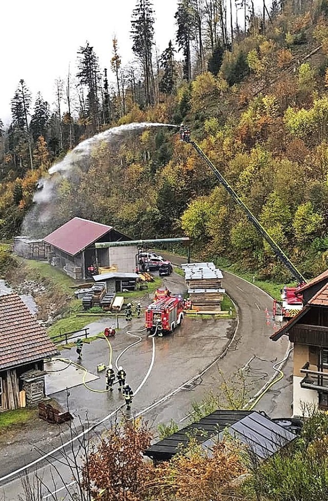 Bei der bung in Gersbach-Au war auch ...erwehr mit der Drehleiter im Einsatz.   | Foto: Feuerwehr