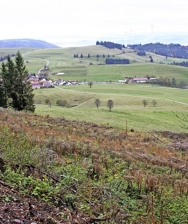 Der Borkenkfer hat oberhalb von Gersb... mit dem Frster abgesprochen werden.   | Foto: Gerd Sutter