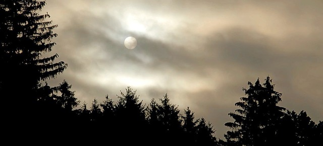 Von mythischen Erlebnissen im Wald und...ilm &#8222;Alpgeister&#8220; erzhlt.   | Foto: 2019 Konzept+Dialog