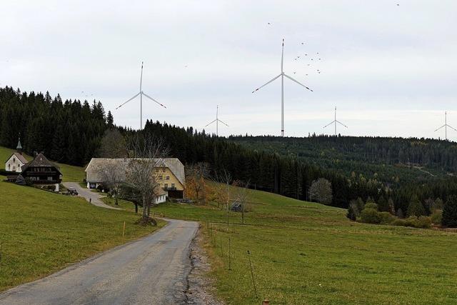 Sommerberg und Kolmen im Blick