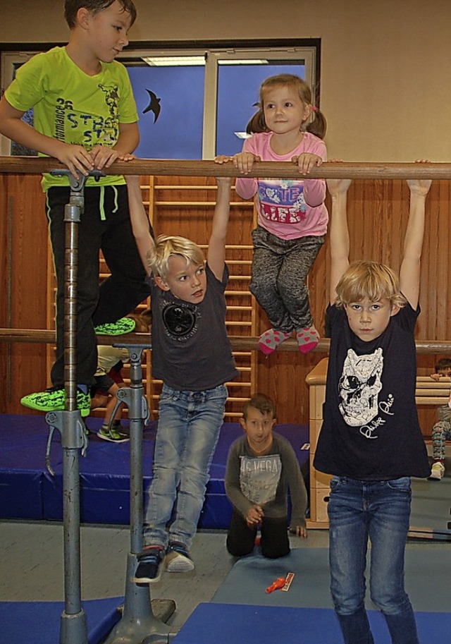 Bewegung und Spa  stand am Tag des Kinderturnens auf Platz eins.  | Foto: Petra Wunderle