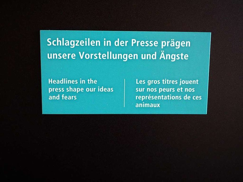   | Foto: Susanne Gilg