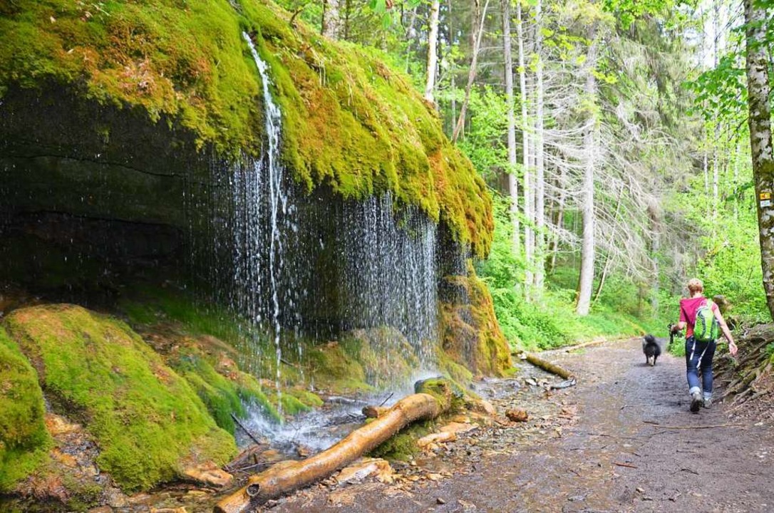 Zehn Rundwanderwege In Der Schlucht - Löffingen - Badische Zeitung