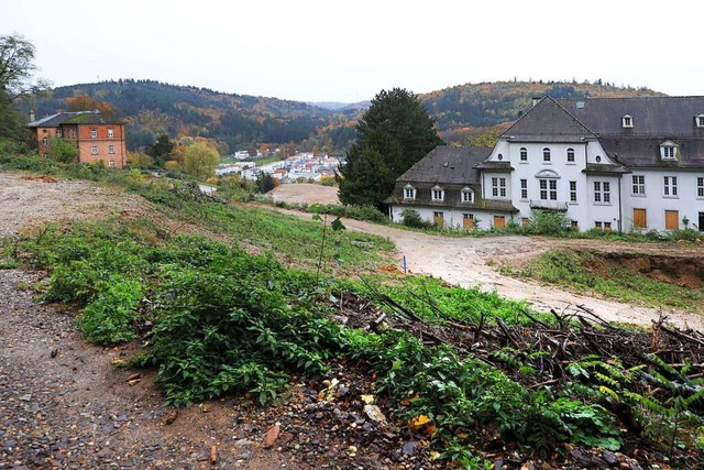 Gerodet wurde am Altenberg bereits, bald soll mit den Neubauten begonnen werden.  | Foto: Christoph Breithaupt