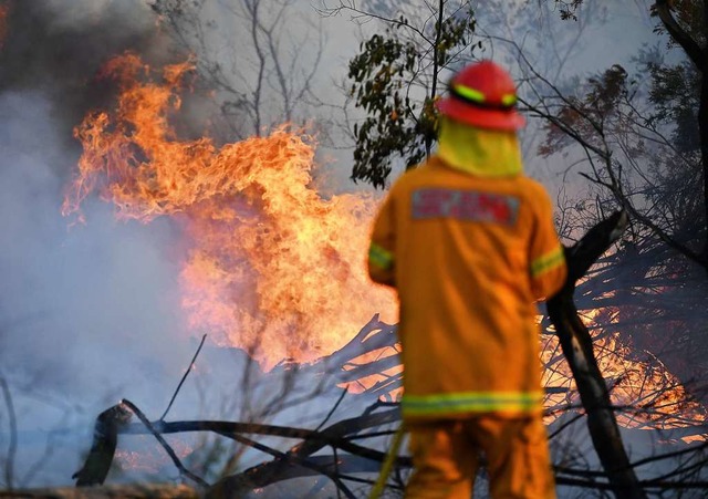 Buschfeuer in Australien  | Foto: Dan Peled (dpa)