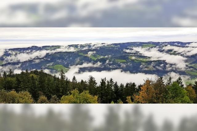 Nebelfelder über dem Schwarzwald