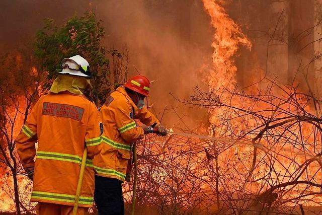 Verheerende Buschfeuer: Australischer Bundesstaat ruft Notstand aus