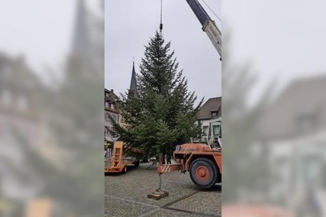 Ja, ist denn schon wieder Weihnachten?