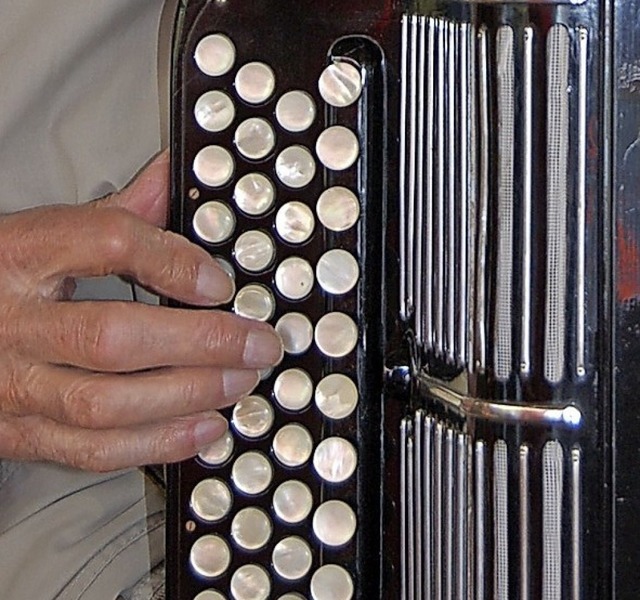 In die Tasten greifen die Harmonikaspieler von Murg.  | Foto: Frank Kiefer