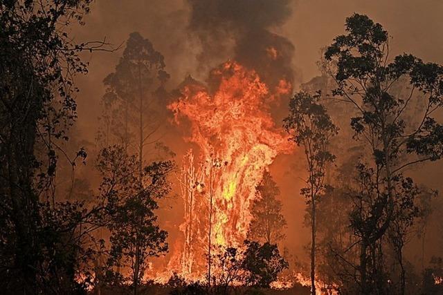 Verheerende Buschfeuer in Australien