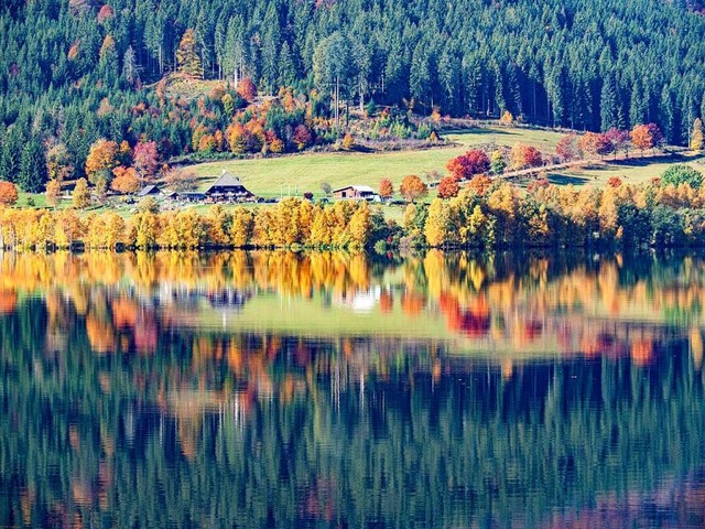 Der Schluchsee umringt mit bunten Bum...esuch wert &#8211; vor allem im Herbst  | Foto: Marco Zakoschek