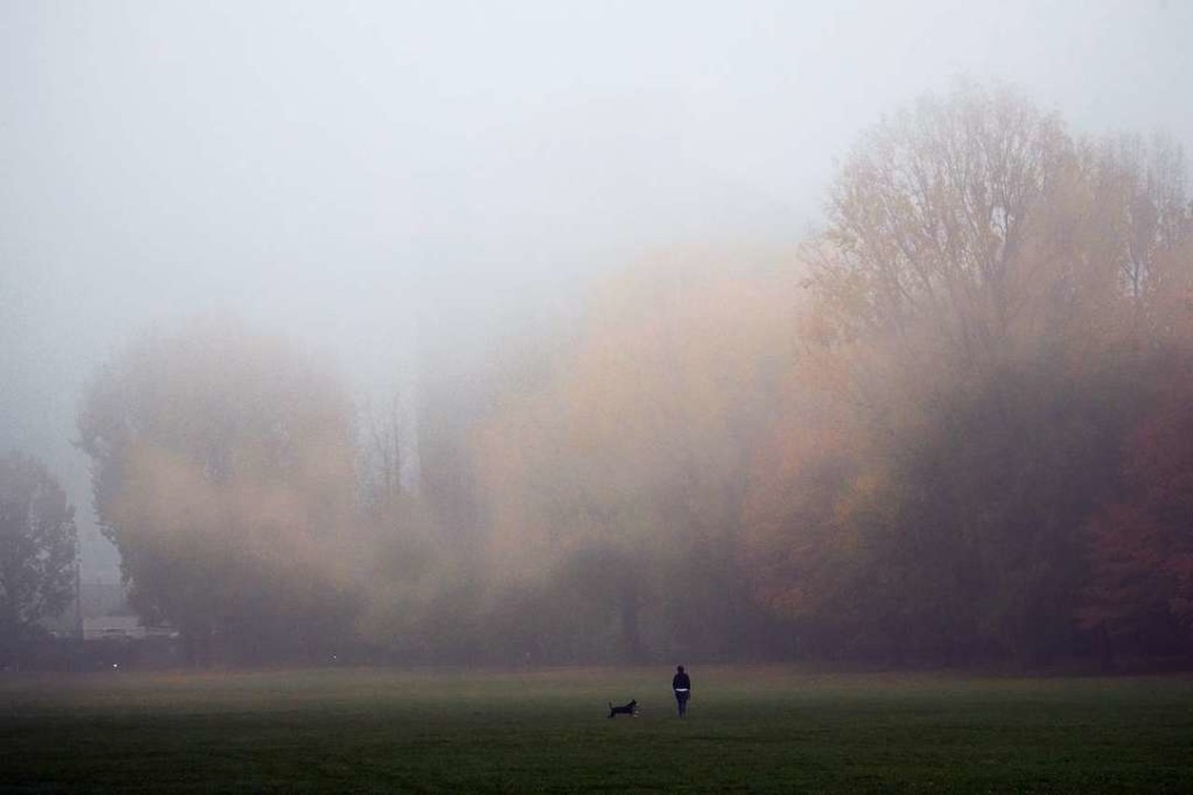 Ein Spaziergang im Nebel? Mystisch!  | Foto: Daniel Karmann (dpa)