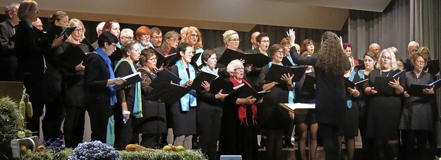 Der gemischte Chor des Gesangvereins M...und Ton-Ab beim gemeinsamen Auftritt.   | Foto: Georg Vo