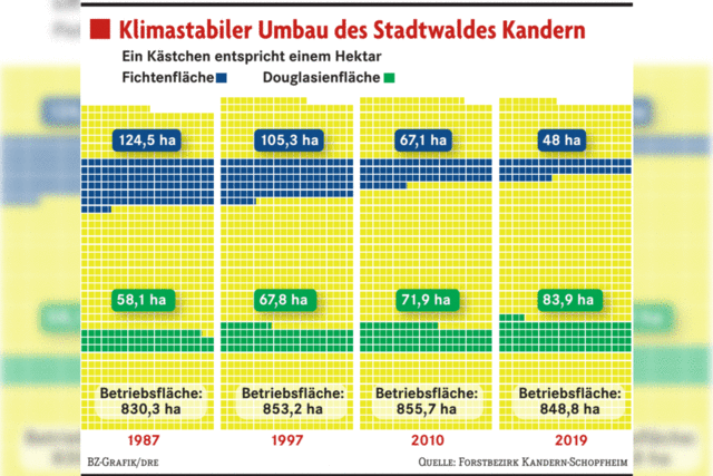 Der Wald im Fieber