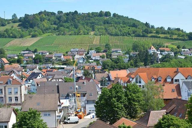 Drften am Tllinger knftig doch Pestizide gespritzt werden?