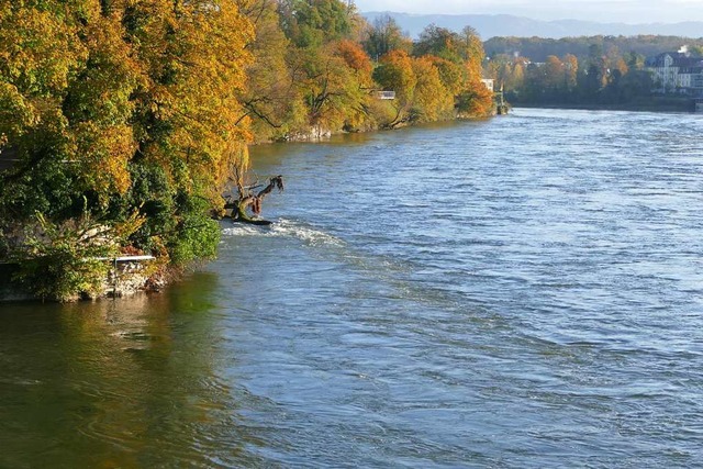 Der Rhein hat sich wieder gefllt, zur... drfte aber noch mehr Wasser flieen.  | Foto: Ingrid Bhm