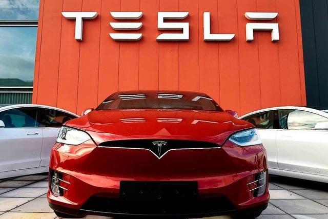 Musk geht mit deutschem Tesla-Werk auf Nummer sicher