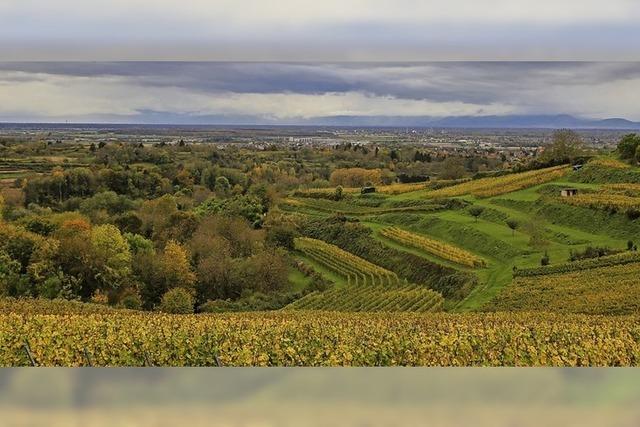 Herbst in der Region