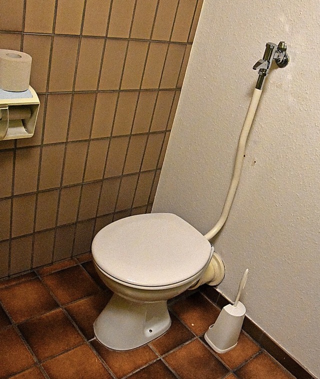 Nicht sanierte Toilette  im neuen Revier  | Foto: Kathrin Ganter